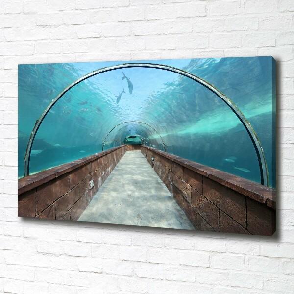 Schilderij op canvas Aquariumtunnel