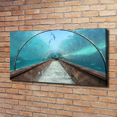 Schilderij op canvas Aquariumtunnel