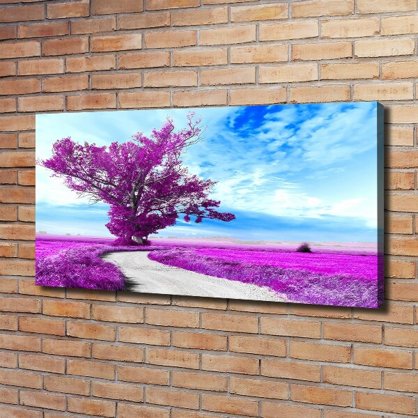 Foto op canvas Boom en pad