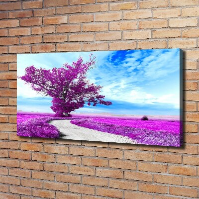 Foto op canvas Boom en pad