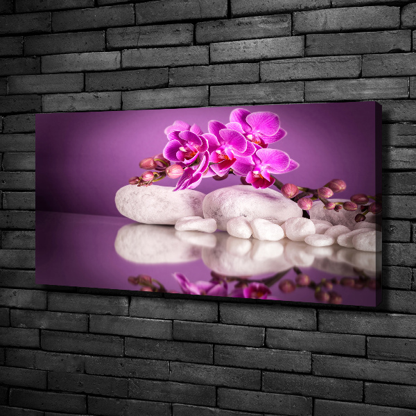 Canvas foto Roze orchidee