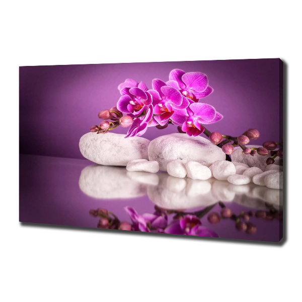 Canvas foto Roze orchidee