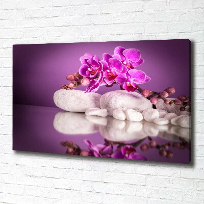 Canvas foto Roze orchidee