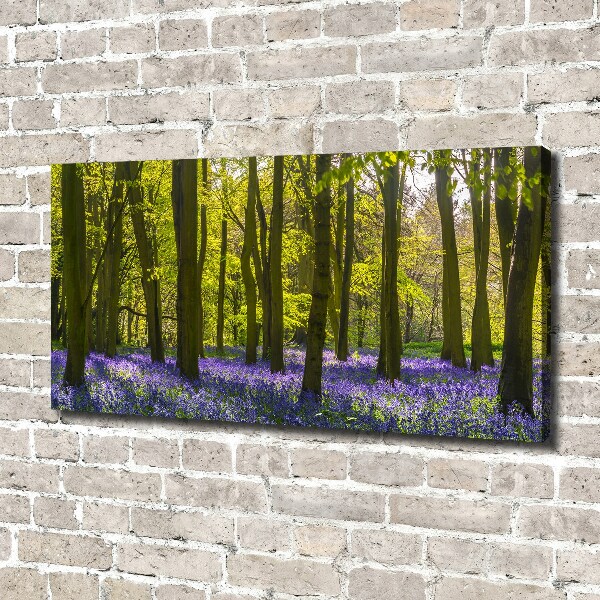 Foto op canvas Bos in de lente