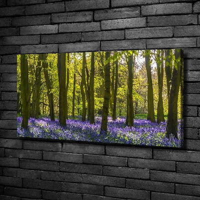 Foto op canvas Bos in de lente
