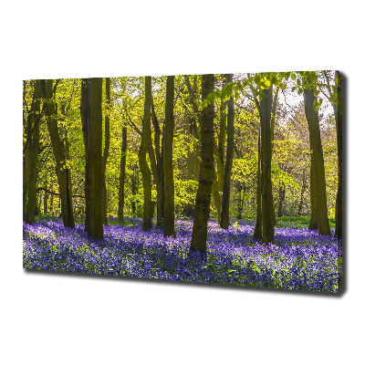 Foto op canvas Bos in de lente