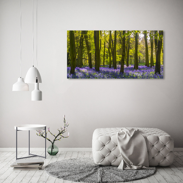 Foto op canvas Bos in de lente