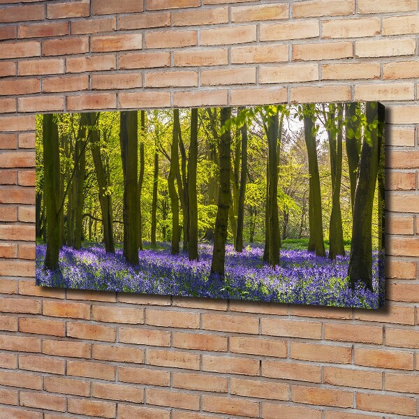 Foto op canvas Bos in de lente
