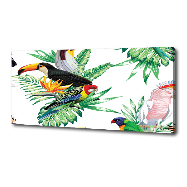 Canvas schilderij Tropische vogels