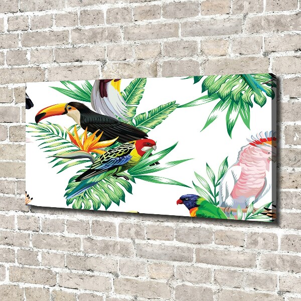 Canvas schilderij Tropische vogels
