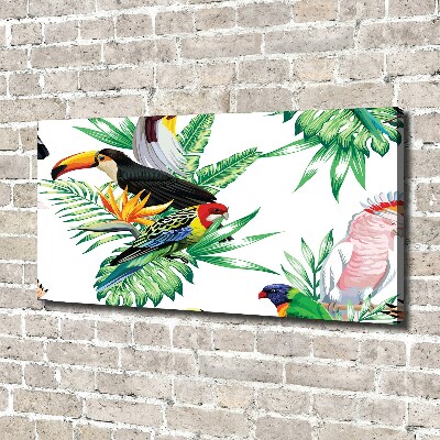 Canvas schilderij Tropische vogels
