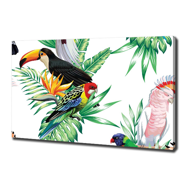 Canvas schilderij Tropische vogels