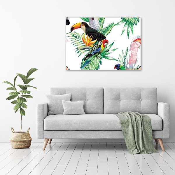 Canvas schilderij Tropische vogels
