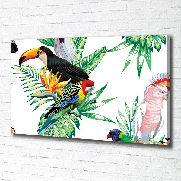 Canvas schilderij Tropische vogels