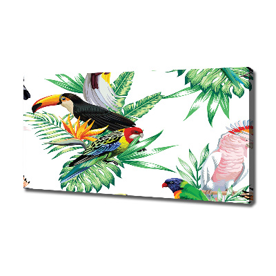 Canvas schilderij Tropische vogels