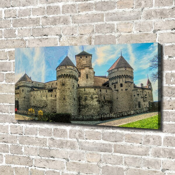 Canvas schilderij Een kasteel in Zwitserland