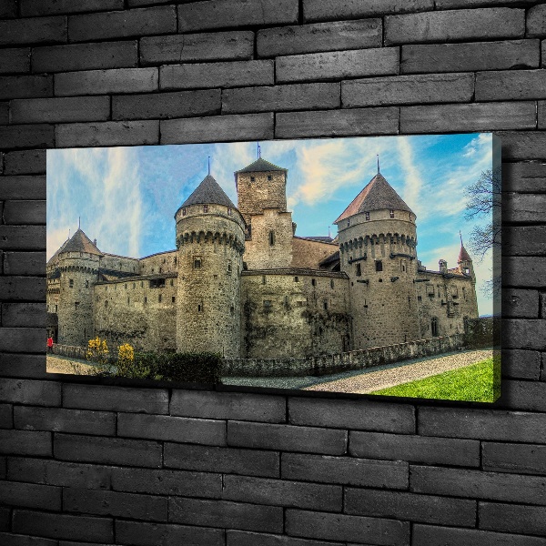 Canvas schilderij Een kasteel in Zwitserland