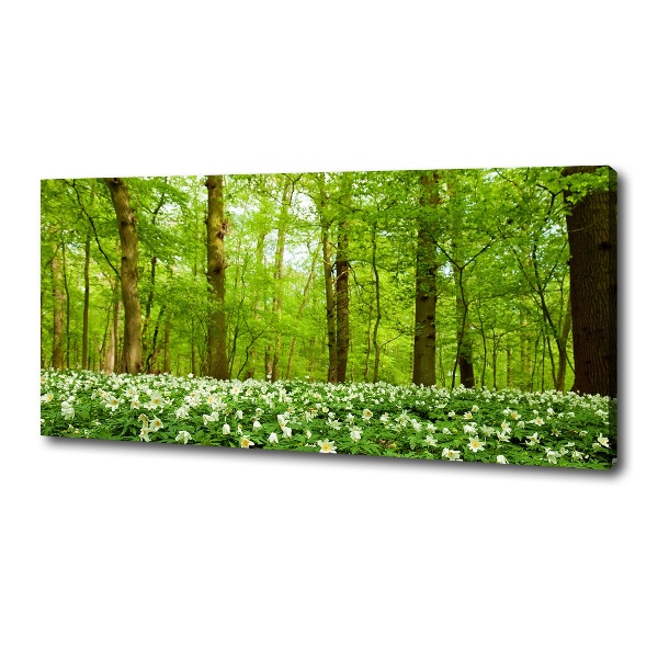 Canvas foto Bloemen in het bos