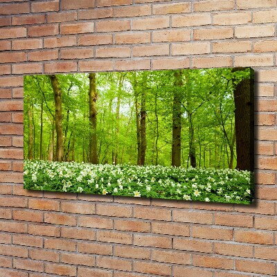 Canvas foto Bloemen in het bos