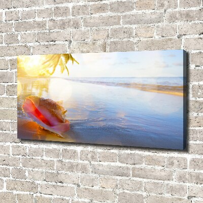 Canvas schilderij Een schelp op het strand