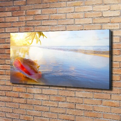 Canvas schilderij Een schelp op het strand