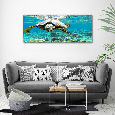Foto op canvas Zeeschildpad