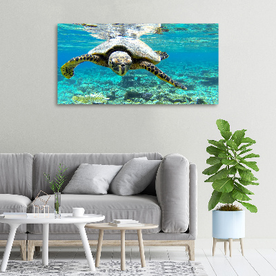 Foto op canvas Zeeschildpad