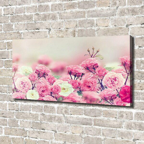 Schilderij op canvas Wilde rozenbloemen