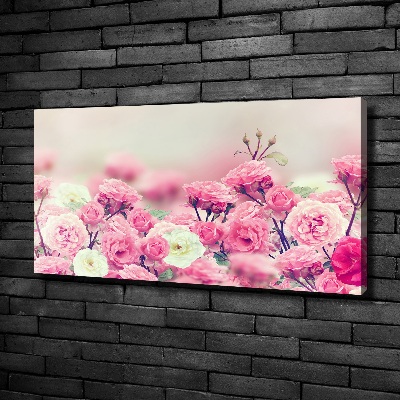 Schilderij op canvas Wilde rozenbloemen