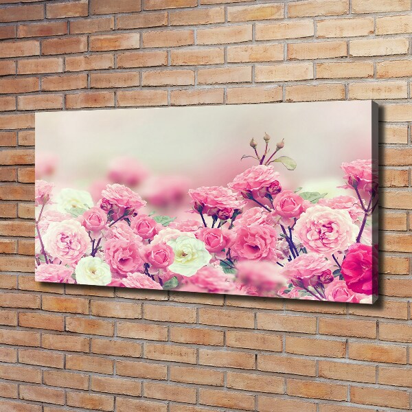Schilderij op canvas Wilde rozenbloemen