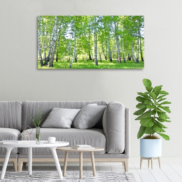 Foto canvas Berken