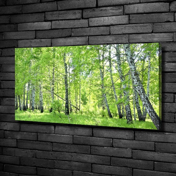 Foto op canvas Berkenbos