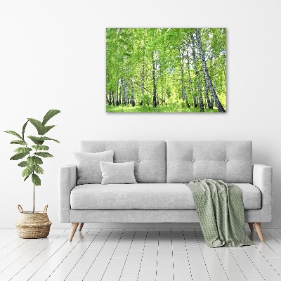 Foto op canvas Berkenbos