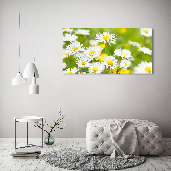 Schilderij op canvas Madeliefjes