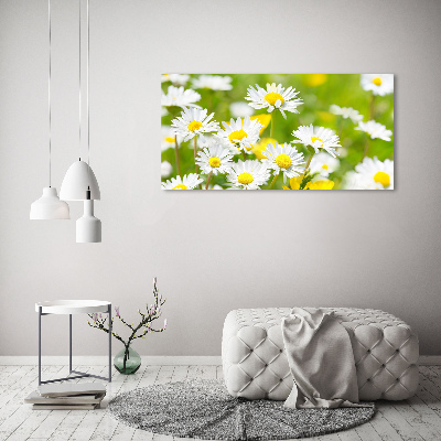 Schilderij op canvas Madeliefjes