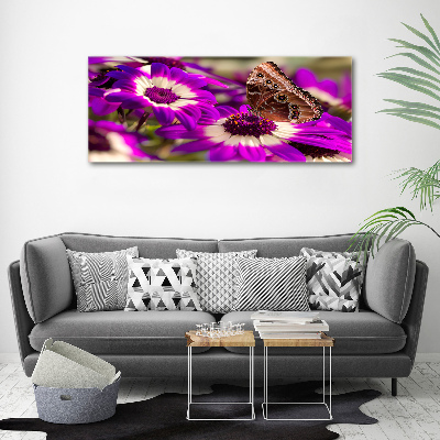Foto op canvas Vlinder op een bloem
