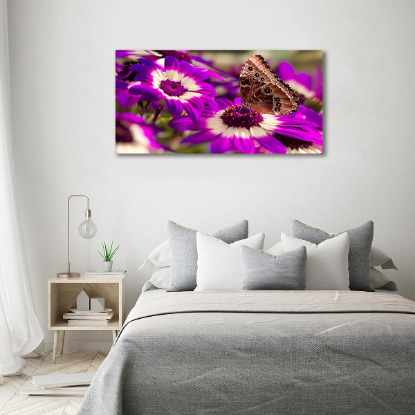 Foto op canvas Vlinder op een bloem
