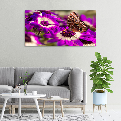 Foto op canvas Vlinder op een bloem