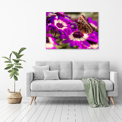 Foto op canvas Vlinder op een bloem