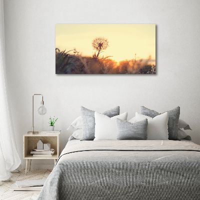 Foto canvas Paardebloem