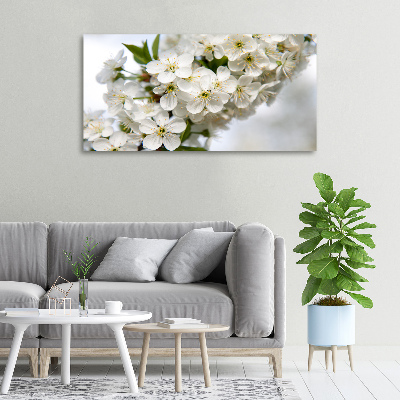 Foto op canvas Kersenbloesems