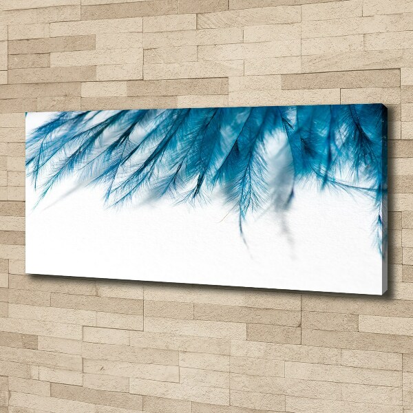 Foto op canvas Blauwe veren