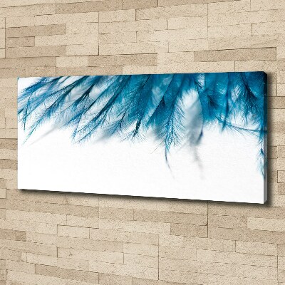 Foto op canvas Blauwe veren