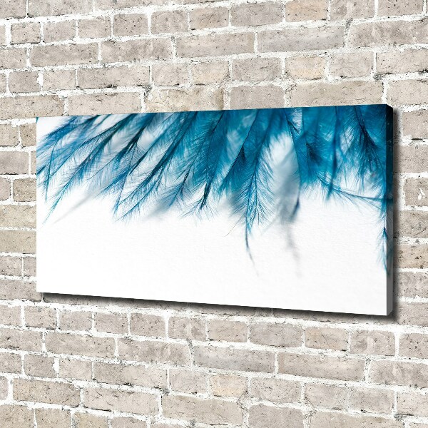 Foto op canvas Blauwe veren