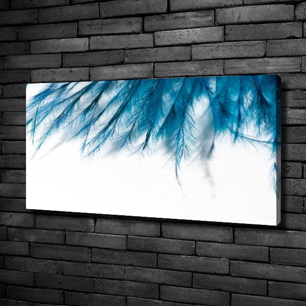 Foto op canvas Blauwe veren