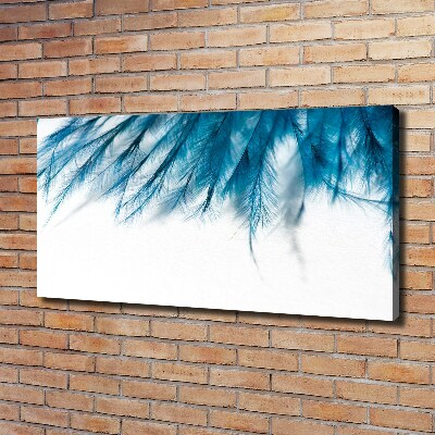 Foto op canvas Blauwe veren