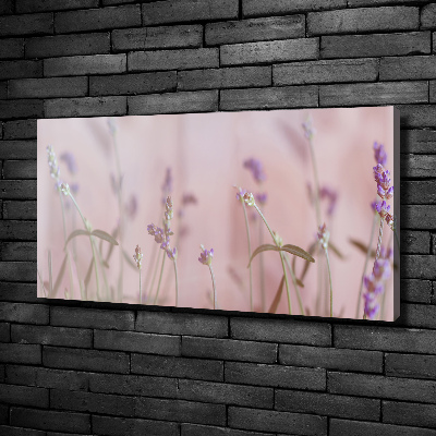 Schilderij op canvas Lavendel