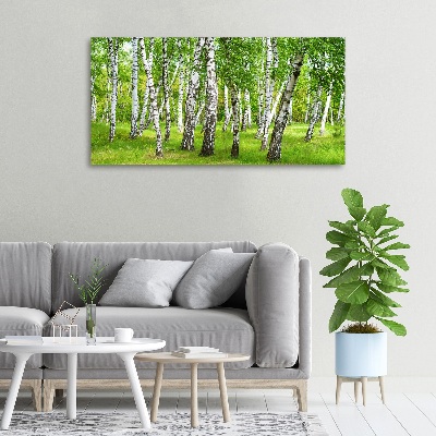 Foto op canvas Berkenbos