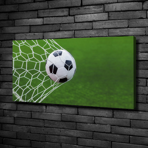Schilderij op canvas De bal ligt in het doel.