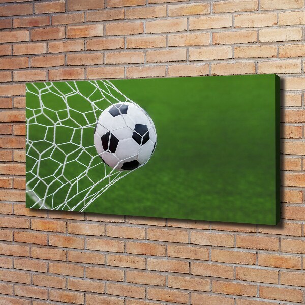 Schilderij op canvas De bal ligt in het doel.